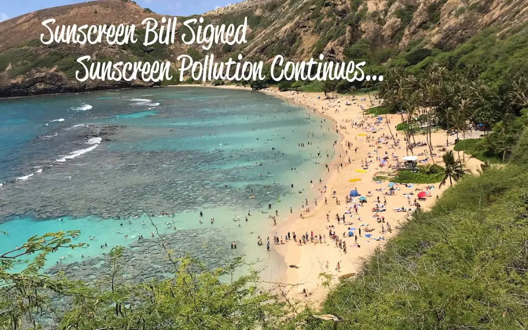 The Truth About “Reef Safe” Sunscreens: What They’re Not Telling You