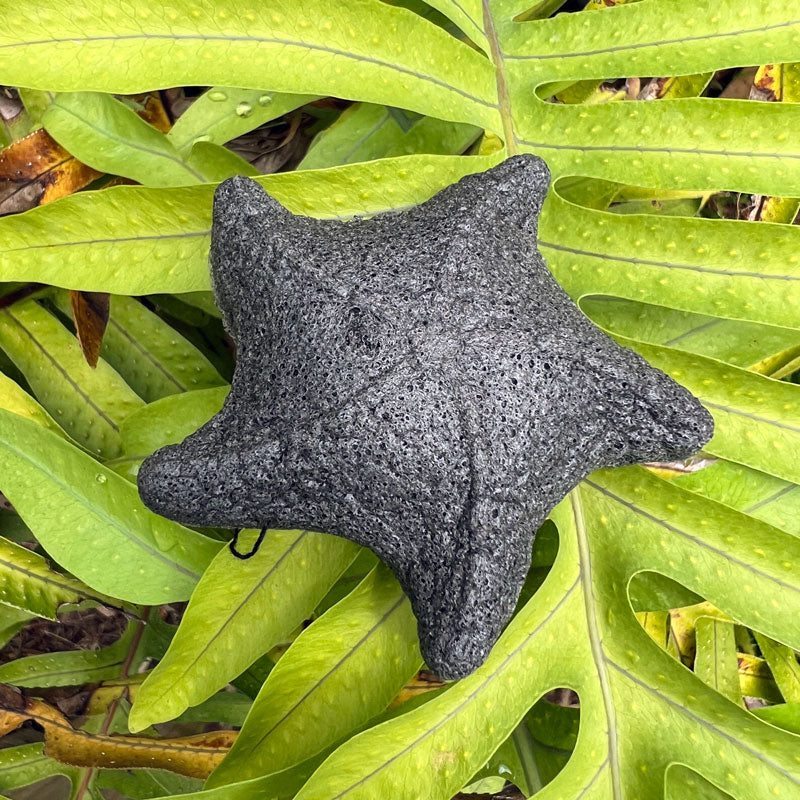 Konjac Sponge/Sunscreen Remover with Activated Bamboo Charcoal Starfish-shaped